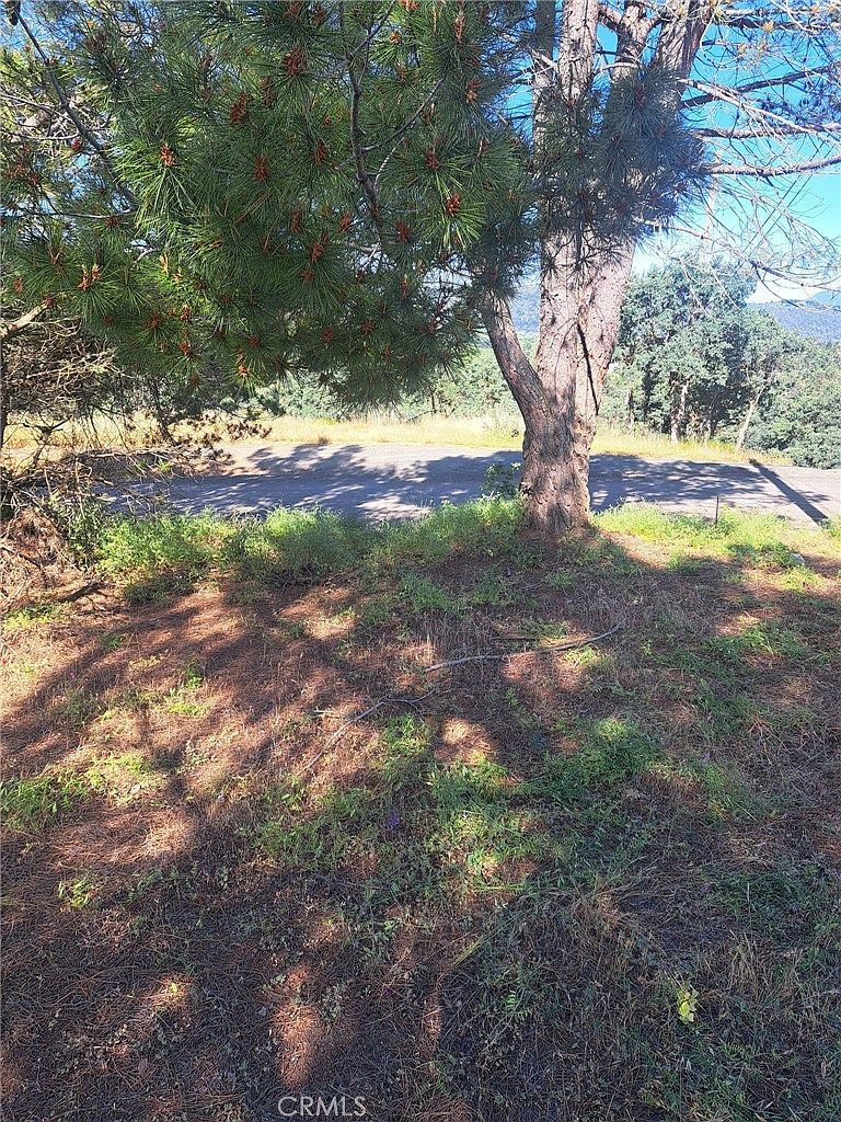 16125 14th Ave #24 Clearlake, CA 95422 - Thumbnail 4