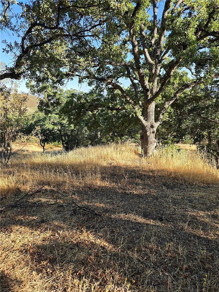 728 Watertrough Rd Clearlake Oaks, CA 95423 - Thumbnail 4