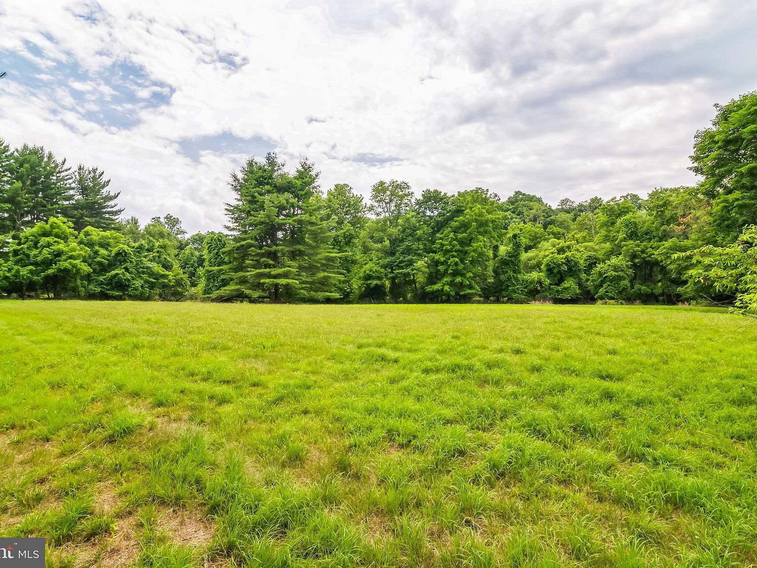 1155 Mount Eyre Rd Washington Crossing, PA 18977 - Thumbnail 4