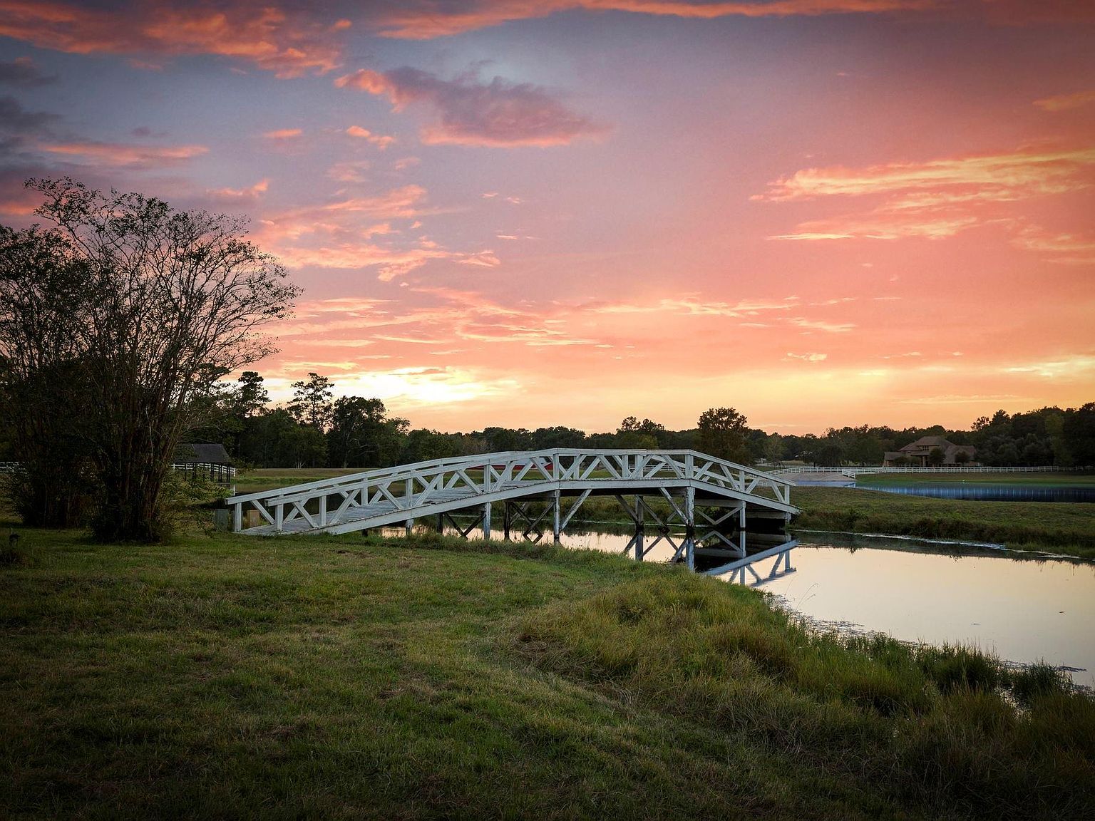 2250 Spring Branch Rd Montgomery, TX 77316 - Thumbnail 4