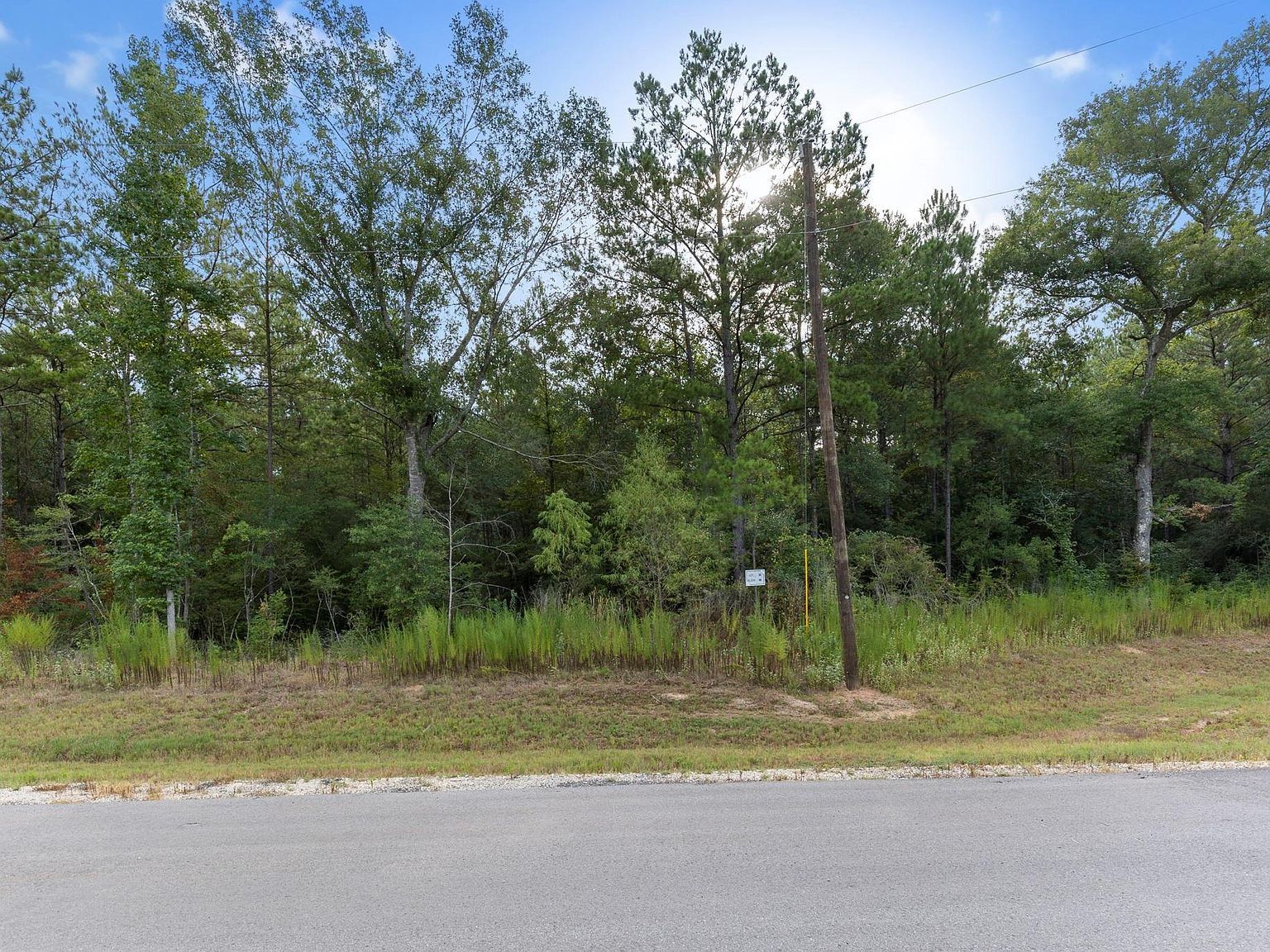 12-28 22 Fluorite Ct Huntsville, TX 77340 - Thumbnail 4