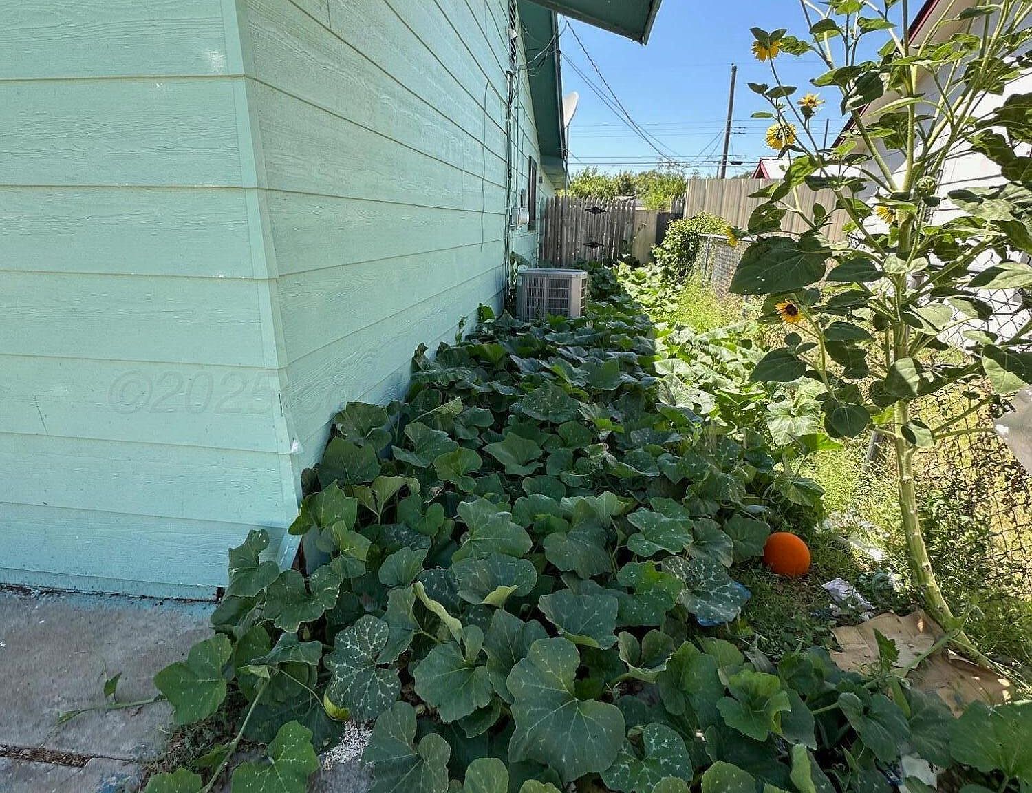 1607 Evergreen St Amarillo, TX 79107  | Single Family