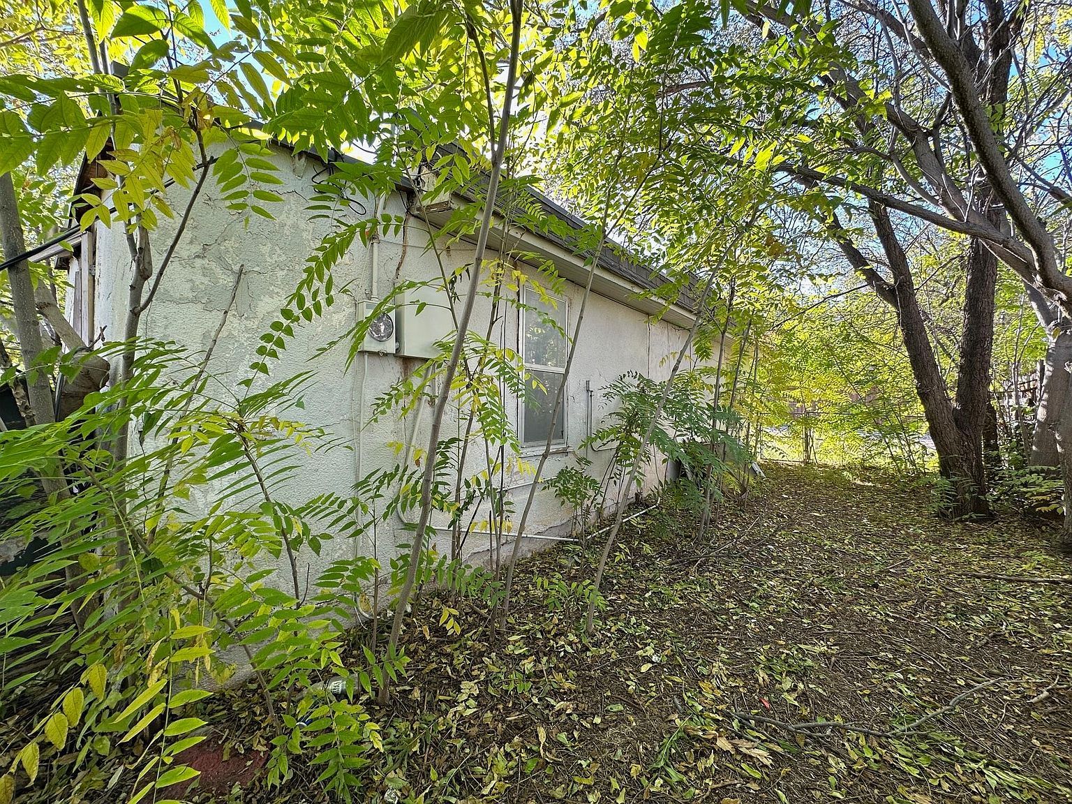 1309 Herman St Amarillo, TX 79102 - Thumbnail 4