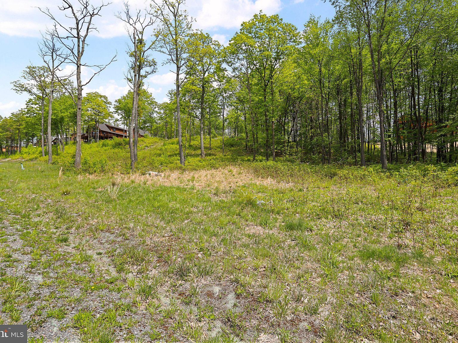 68 N Camp Rd Mc Henry, MD 21541 - Thumbnail 4