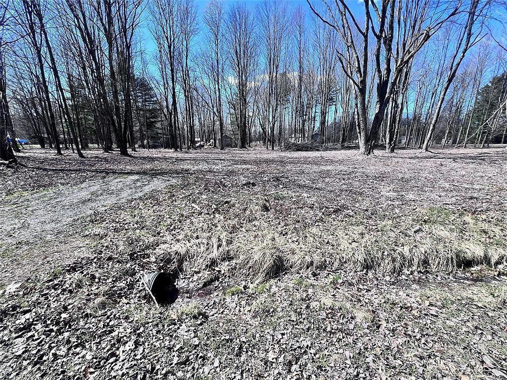 2369 Leach Rd Linesville, PA 16424 - Thumbnail 4