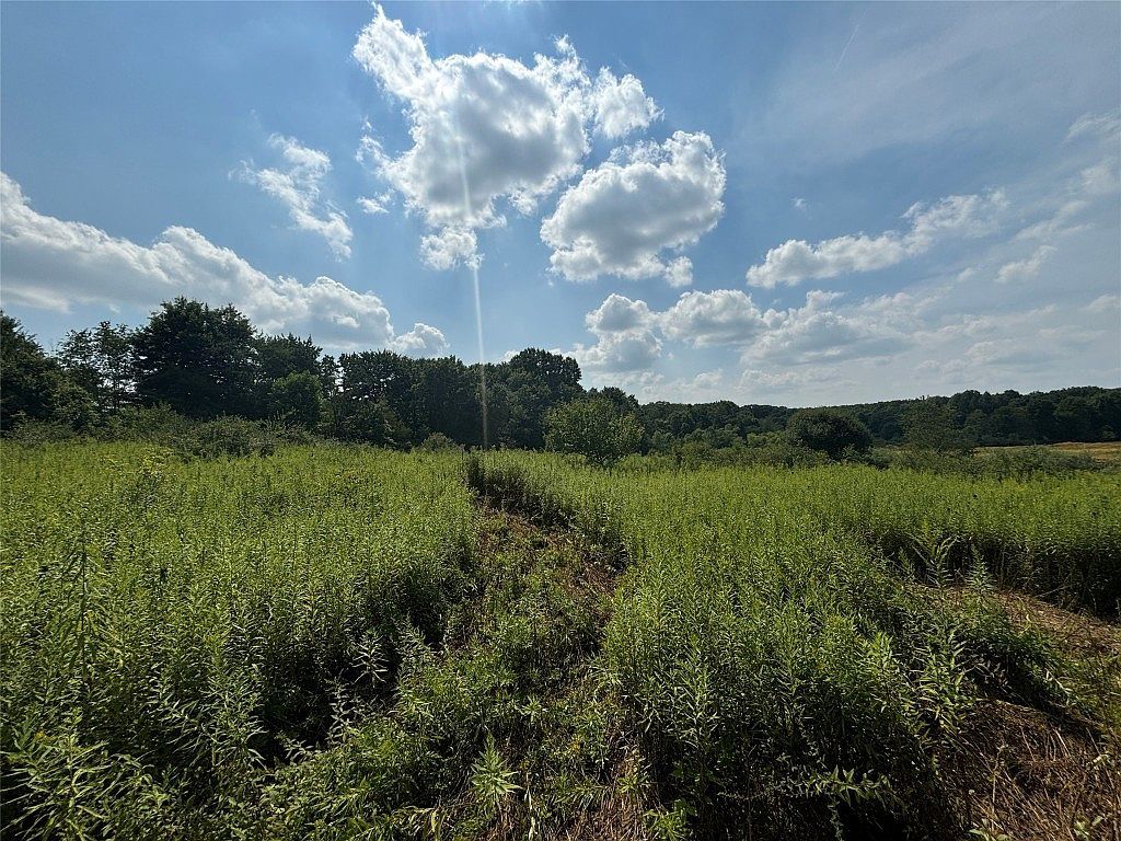 0 Inlet Rd Conneautville, PA 16406 - Thumbnail 4