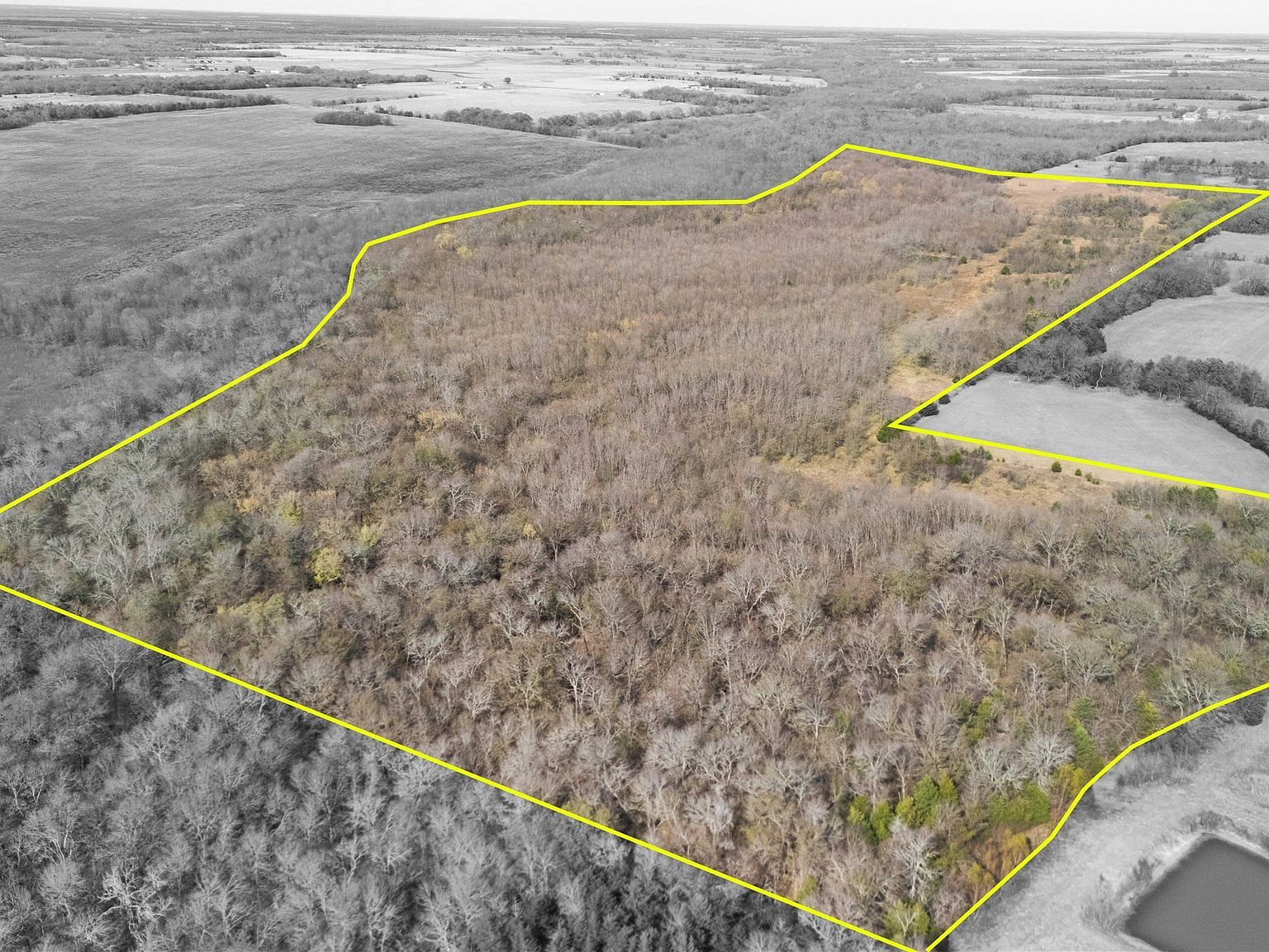 TRACT 9 County Road 2158 Cooper, TX 75432 - Thumbnail 4