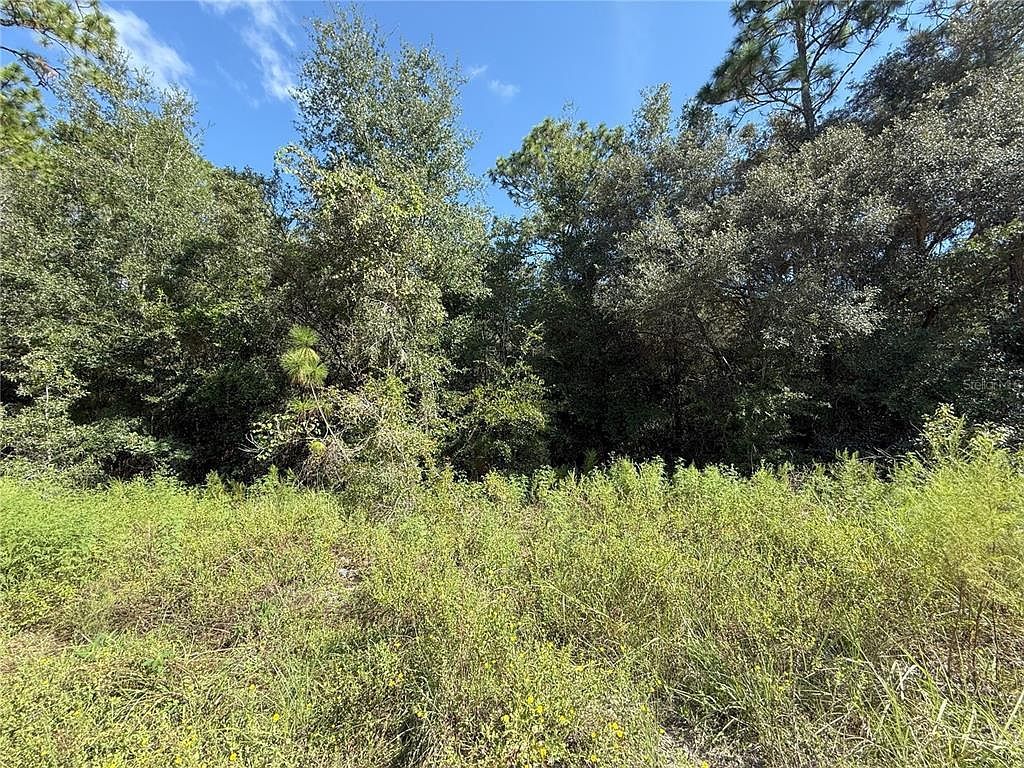 SW 40th St Lot 11 Dunnellon, FL 34432 - Thumbnail 4
