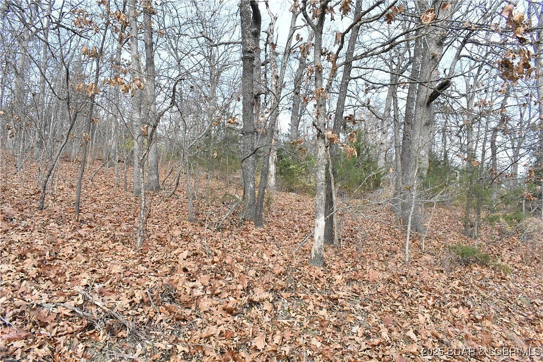LOT 32 Forrest Hills Dr Lake Ozark, MO 65049 - Thumbnail 4