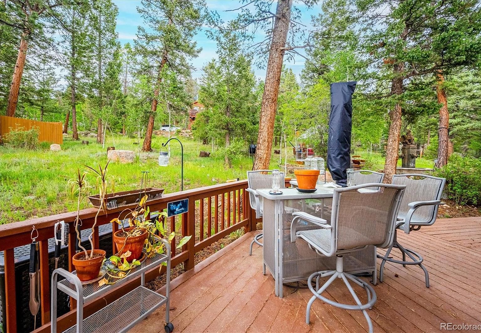 31037 Witteman Rd Conifer, CO 80433 - Thumbnail 4