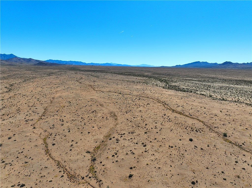 0 N Chicory Dr Dolan Springs, AZ 86441 - Thumbnail 4