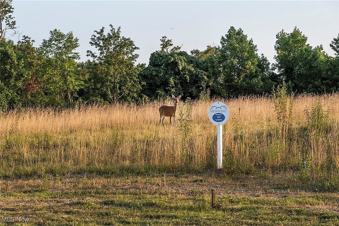 7595 Margaret Dr North Royalton, OH 44133 - Thumbnail 4