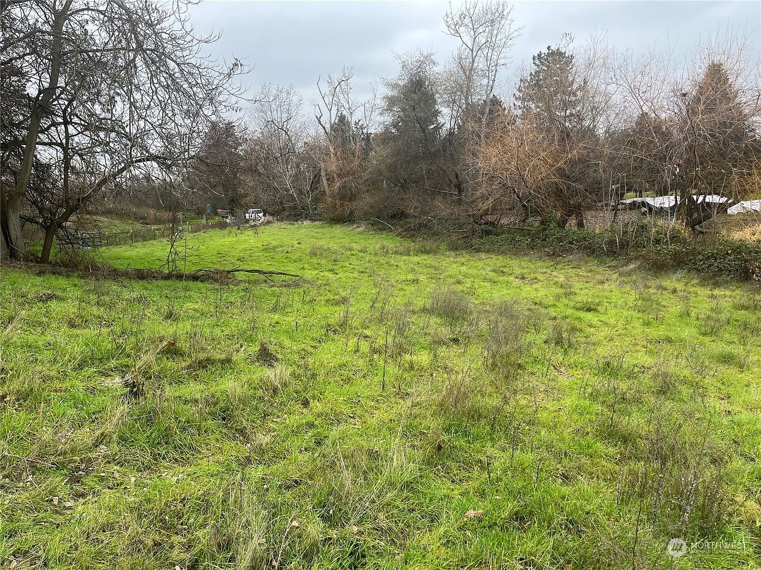 2552 Cottonwood Rd Walla Walla, WA 99362 - Thumbnail 4