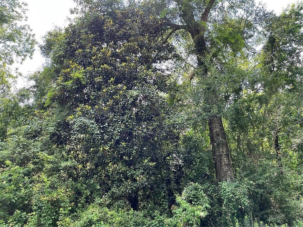 LOT 26 Markham Dr Lacombe, LA 70445 - Thumbnail 4