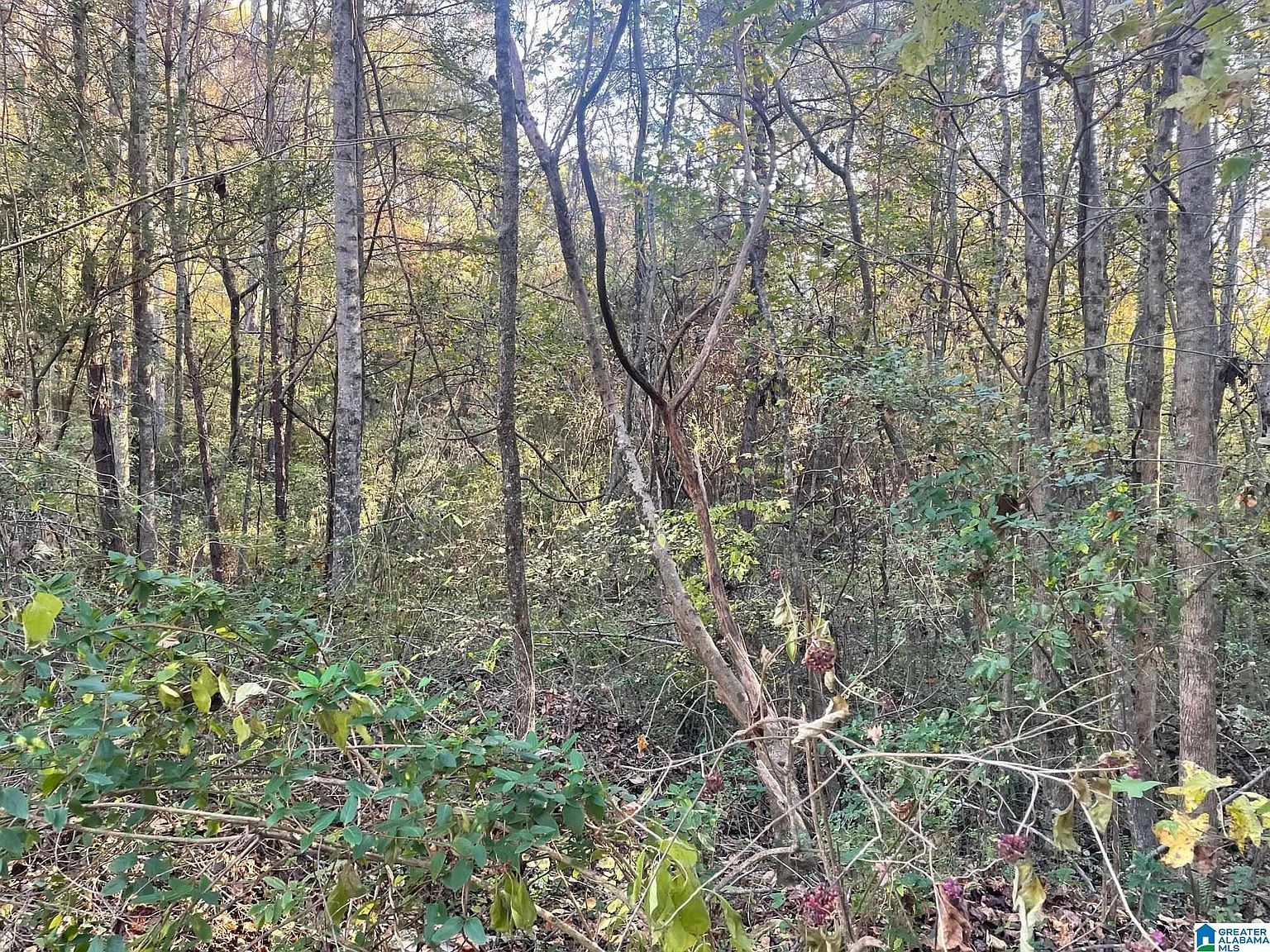 529 Foxfire Dr #8 Gardendale, AL 35071 - Thumbnail 4