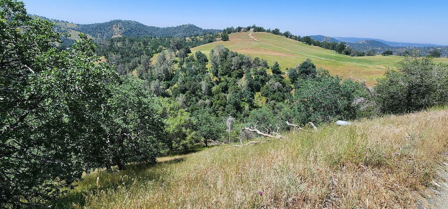 1111 Lazy L Summit Ln Coarsegold, CA 93614 - Thumbnail 4