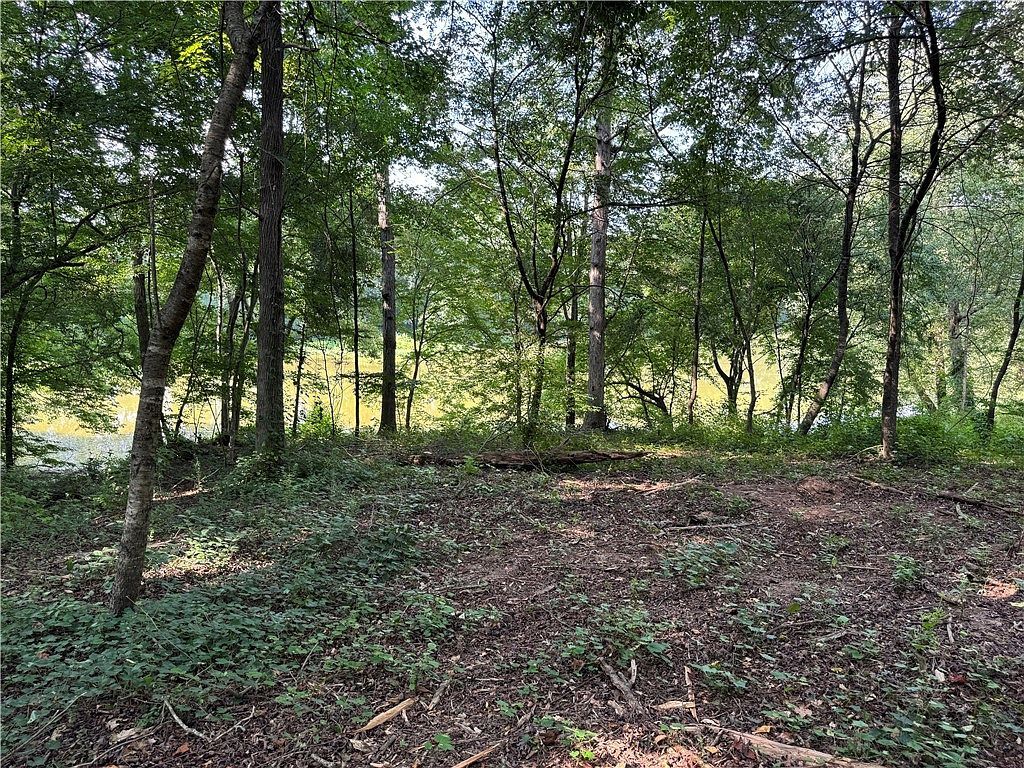 LOT 26 Arrowhead Lake Trl Westminster, SC 29693 - Thumbnail 4