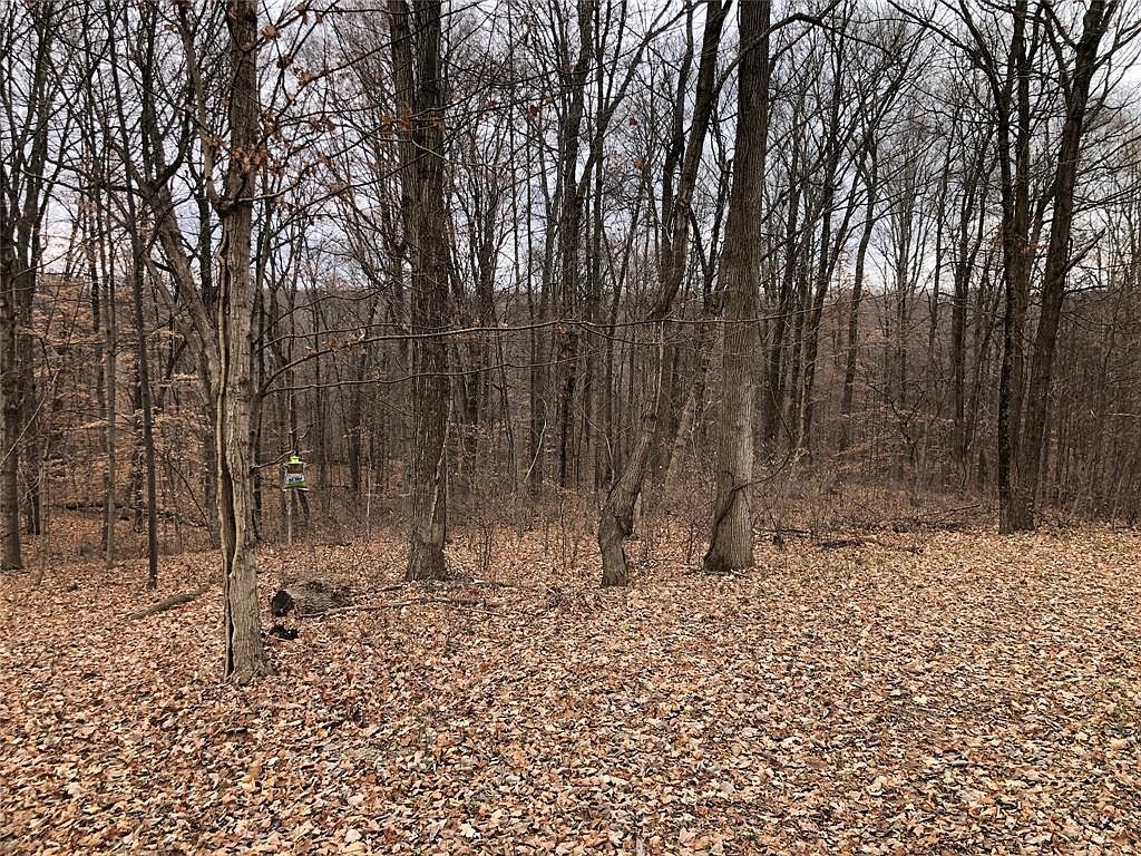 3520 Morgan Oaks Ct Martinsville, IN 46151 - Thumbnail 4