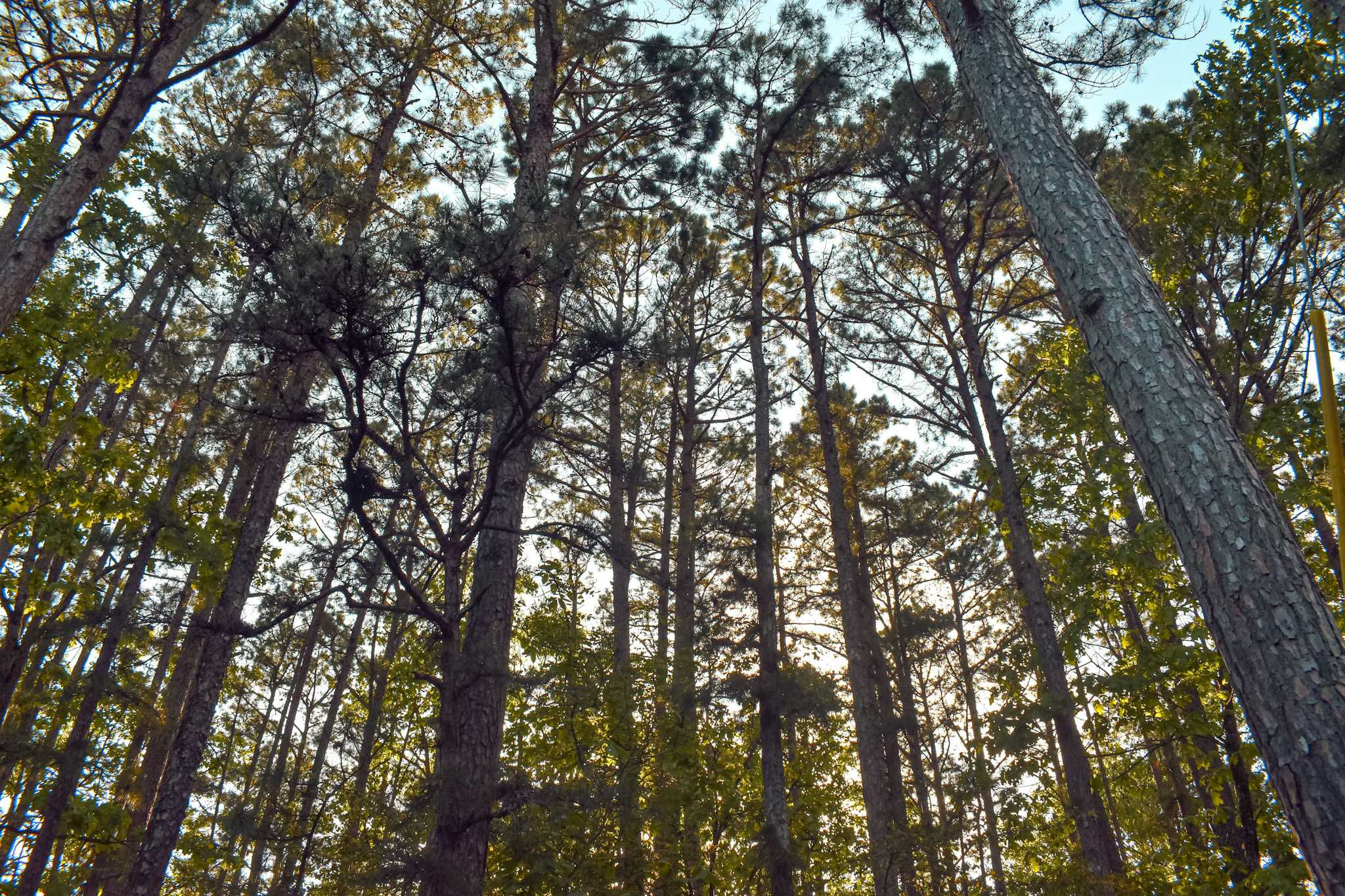 24229 Flint Ridge Drive, Kansas, OK, 74347 - Thumbnail 5