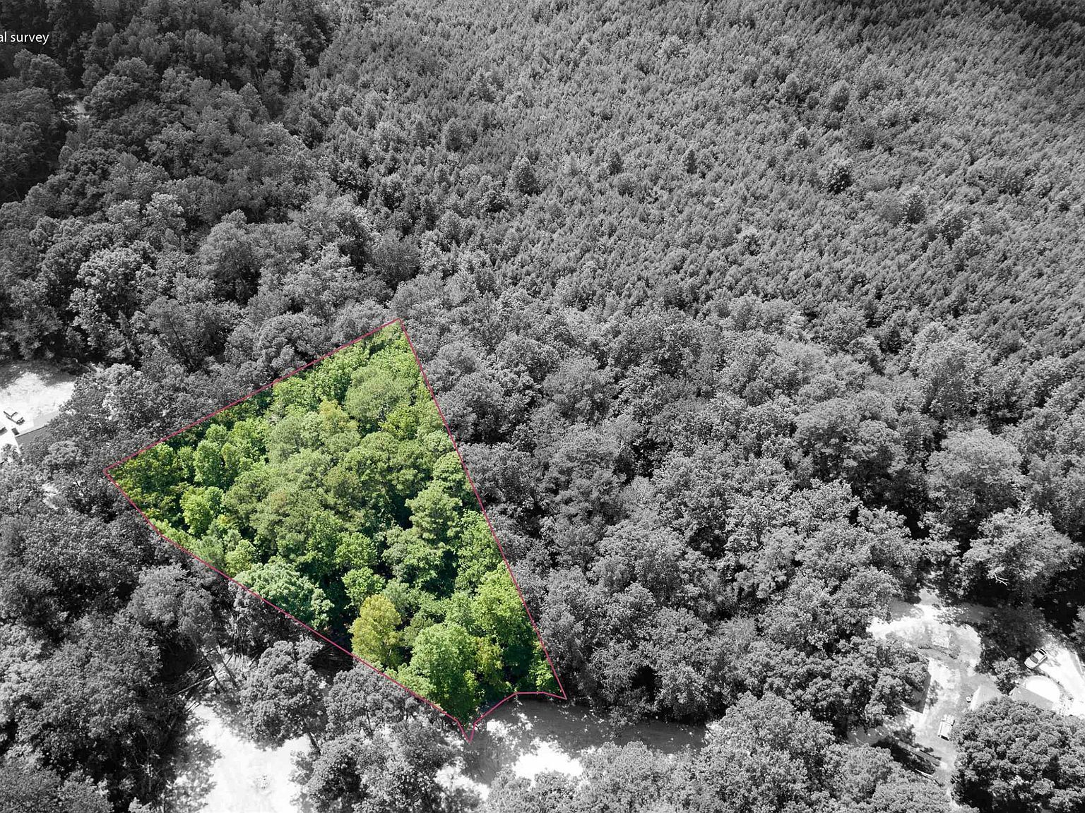 11 Royal St Fuquay Varina, NC 27526 - Thumbnail 4