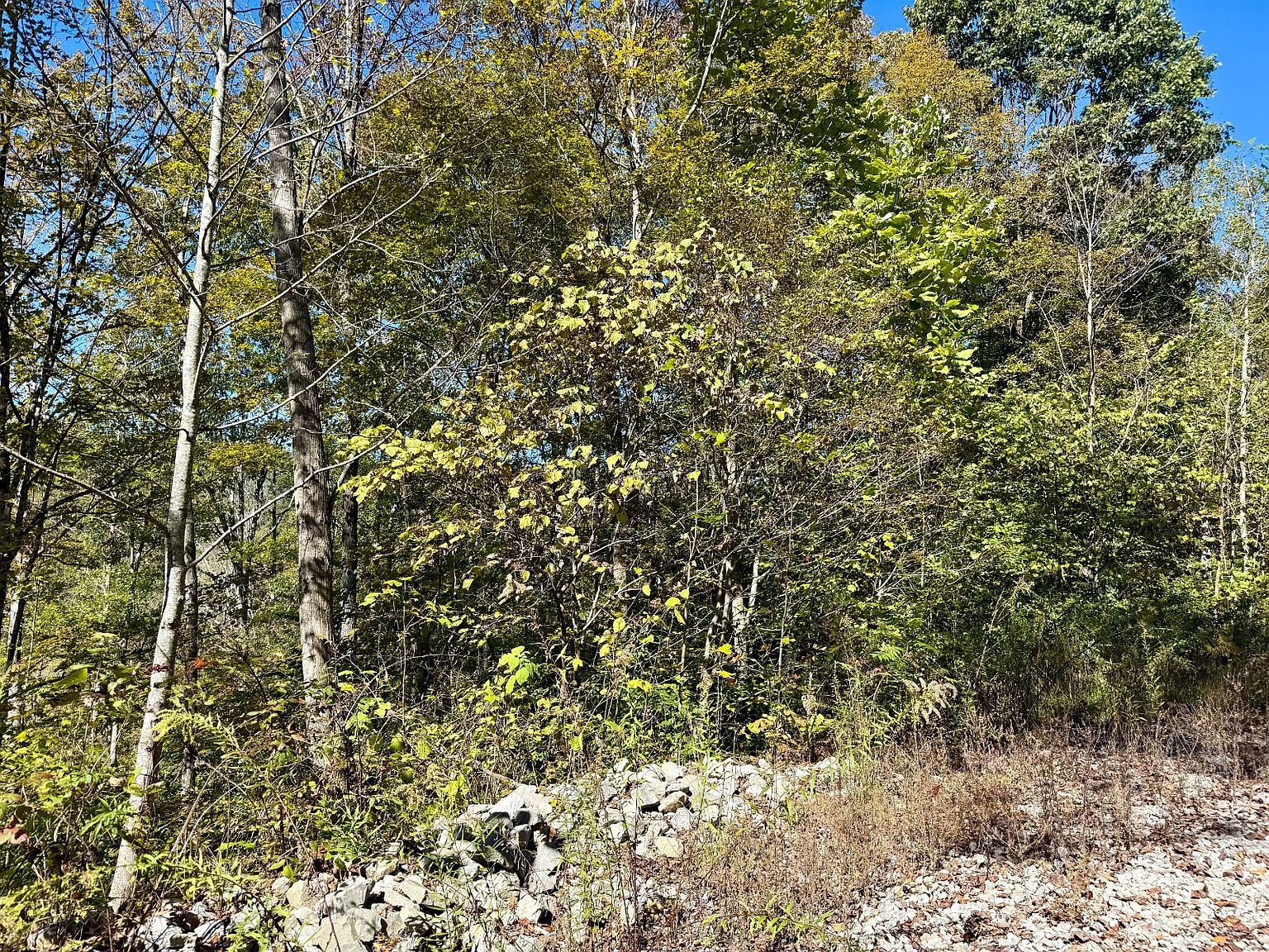 9999 W Bobcat Ln #61 Wilder, TN 38589 - Thumbnail 4