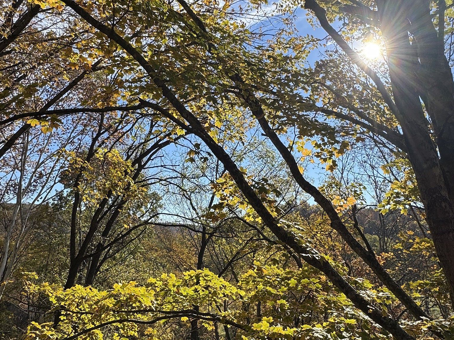 1304 Sycamore Valley Rd Ashland City, TN 37015 - Thumbnail 4