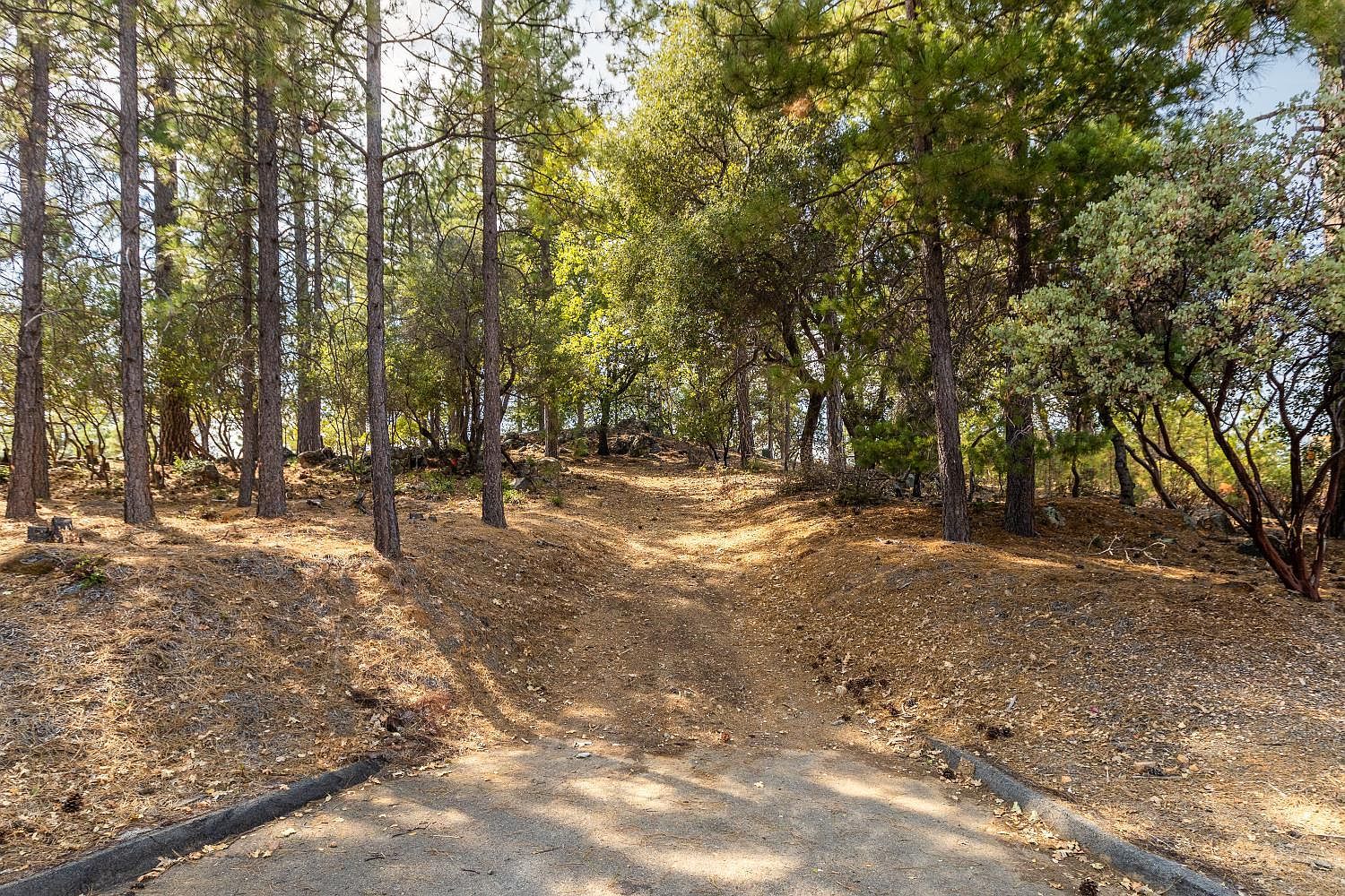 1621 The Point Rd Meadow Vista, CA 95722 - Thumbnail 4