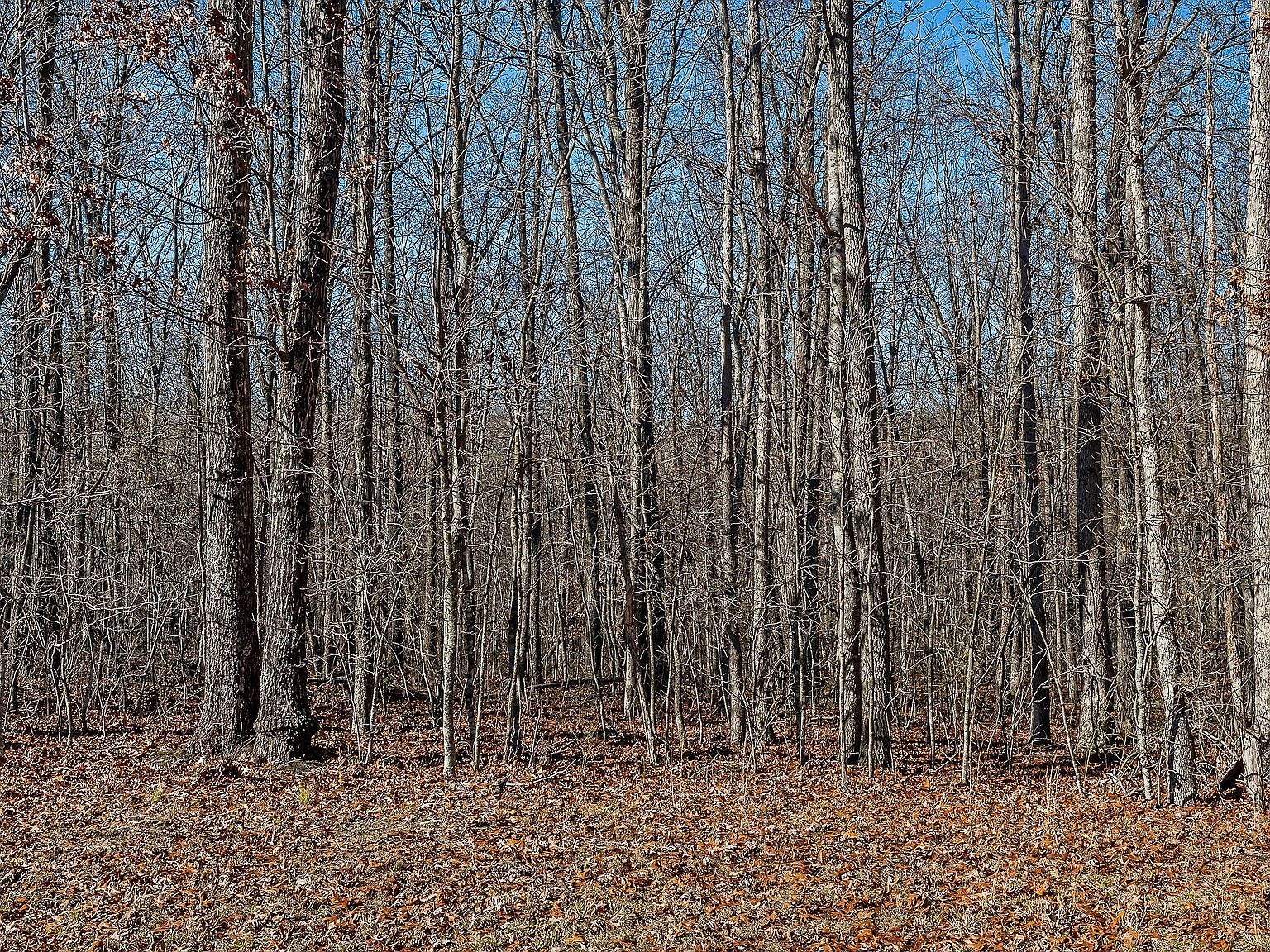 0 E Overlook Rd LOT 14 Monterey, TN 38574 - Thumbnail 4