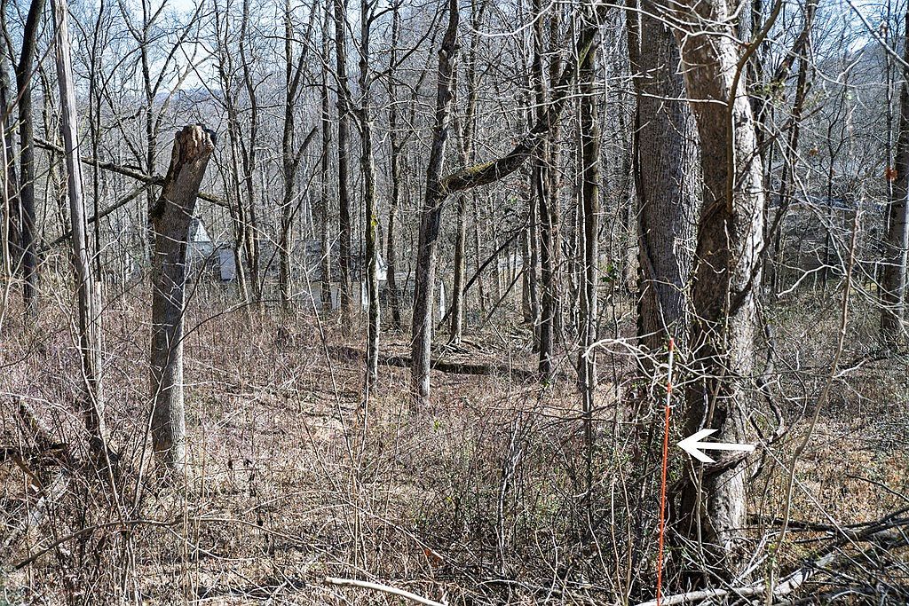 LOT 54 Lake Valley Dr Cookeville, TN 38506 - Thumbnail 4