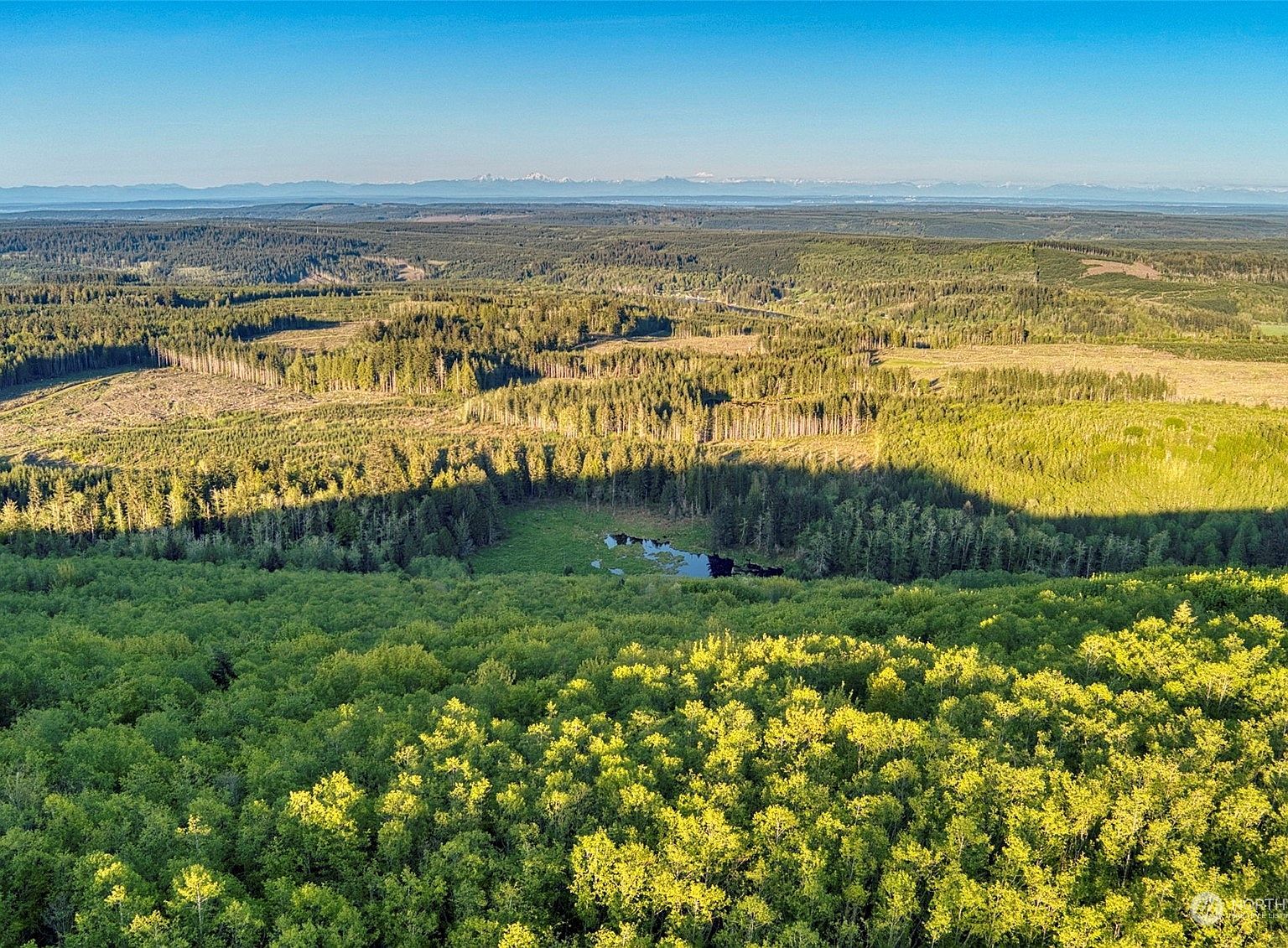 0 Elkhorn Ln Quilcene, WA 98376 - Thumbnail 4