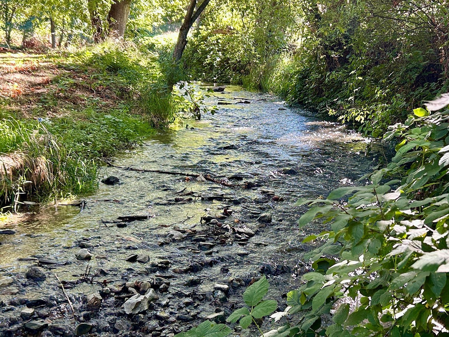 2864 Griffin Creek Rd Medford, OR 97501 - Thumbnail 4