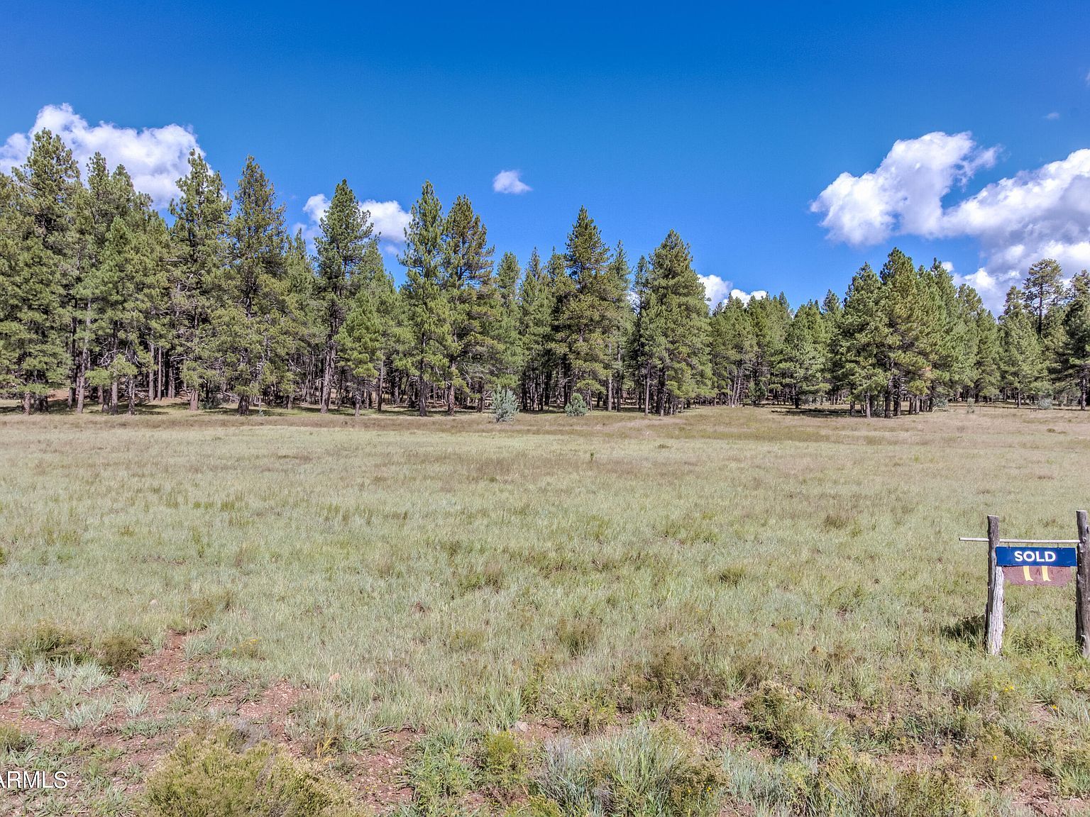 95 E Foxboro Rd #11 Munds Park, AZ 86017 - Thumbnail 4