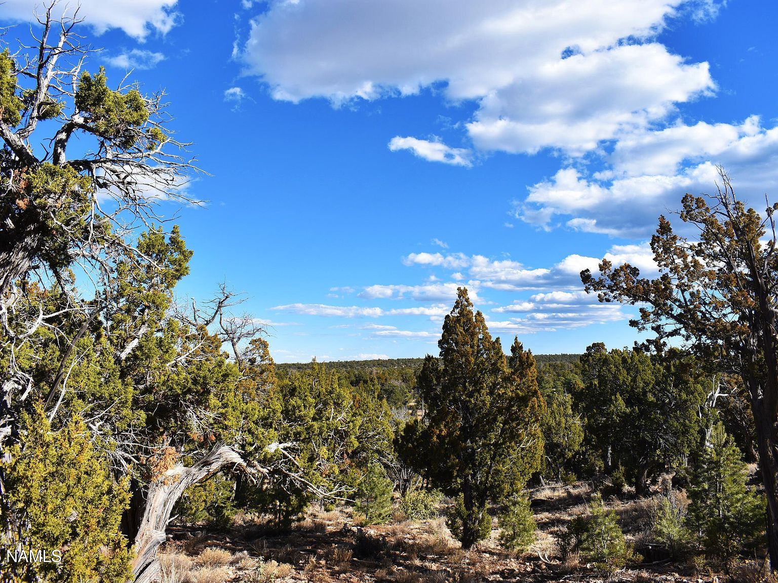 4367 Sunset Ridge Loop Happy Jack, AZ 86024 - Thumbnail 4