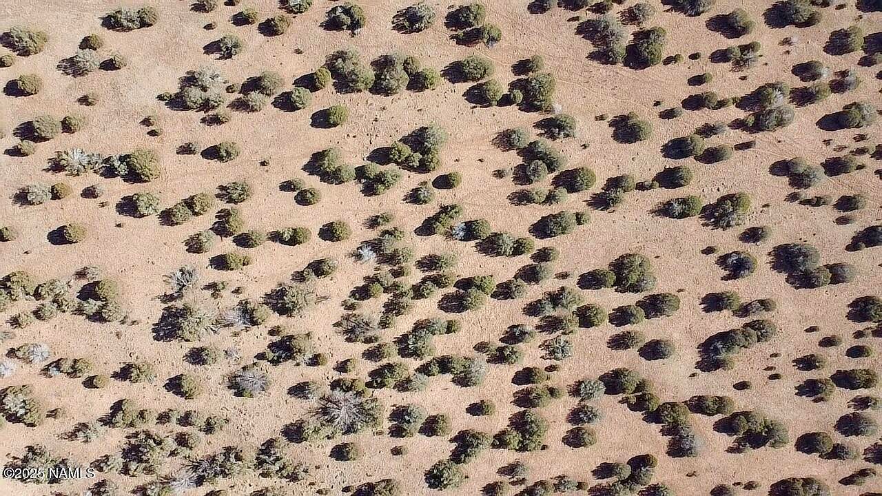 54 N 7493rd Saint Johns, AZ 85936 - Thumbnail 4