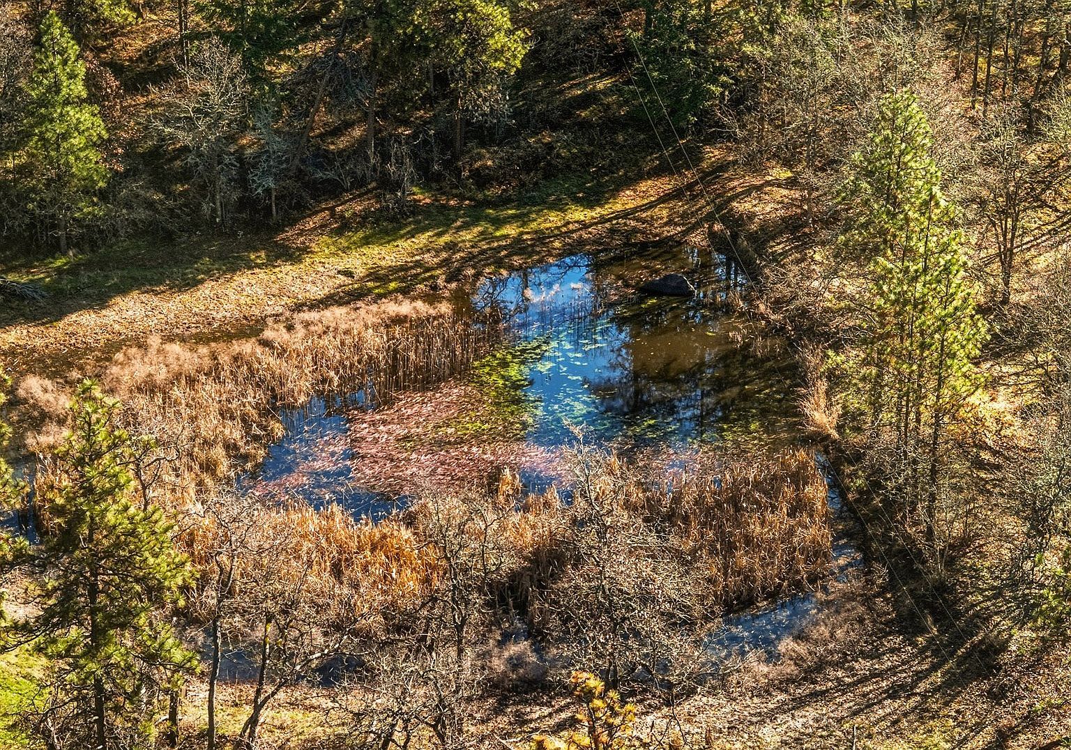 Morgensen Rd Mosier, OR 97040 - Thumbnail 4