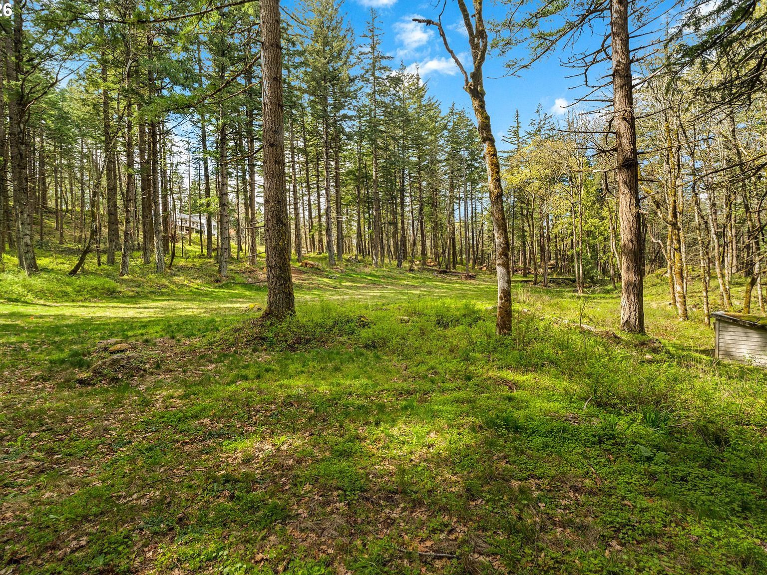 445 Country Club Rd Hood River, OR 97031 - Thumbnail 4