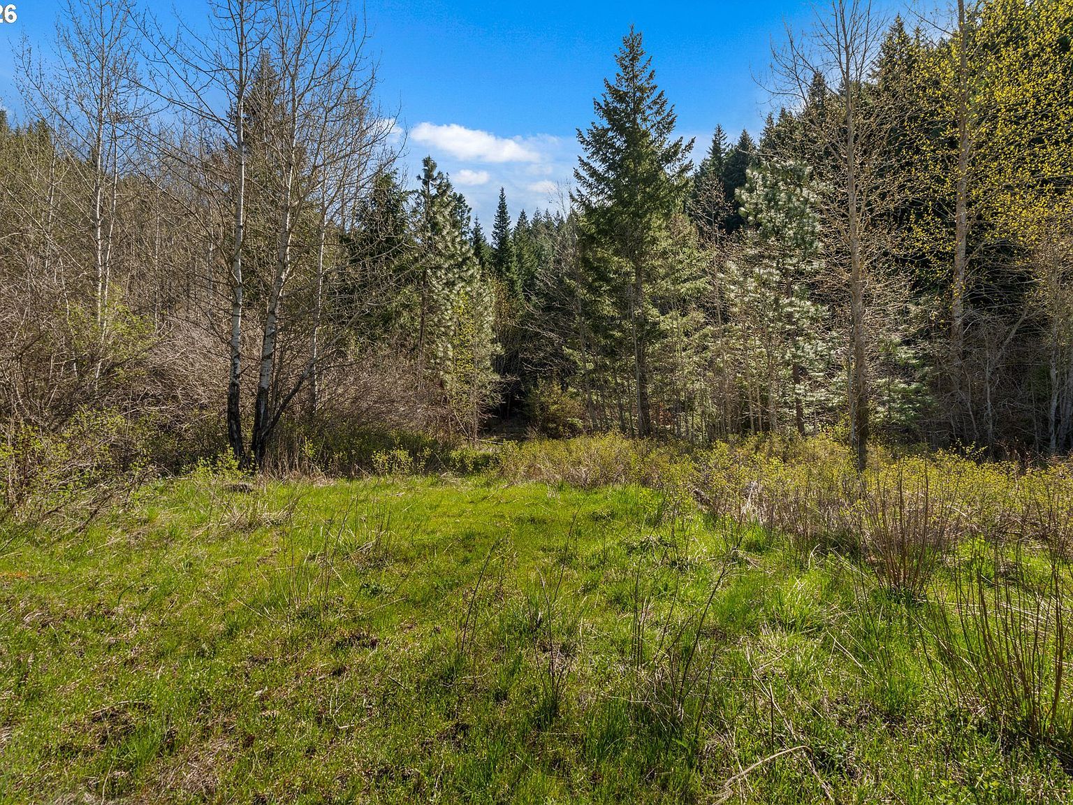 Stoller Rd Trout Lake, WA 98650 - Thumbnail 4