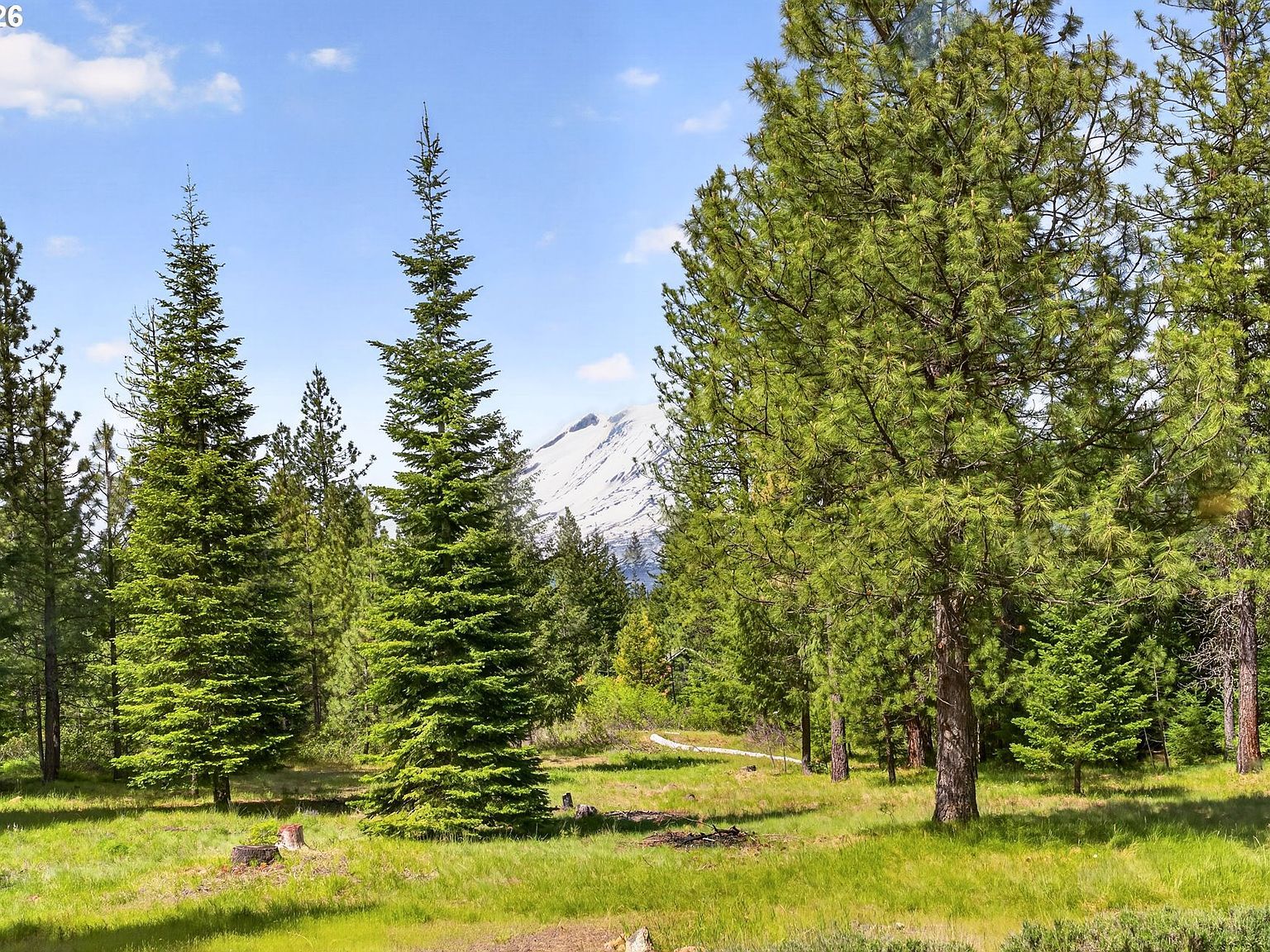117 Jennings Rd Trout Lake, WA 98650 - Thumbnail 4