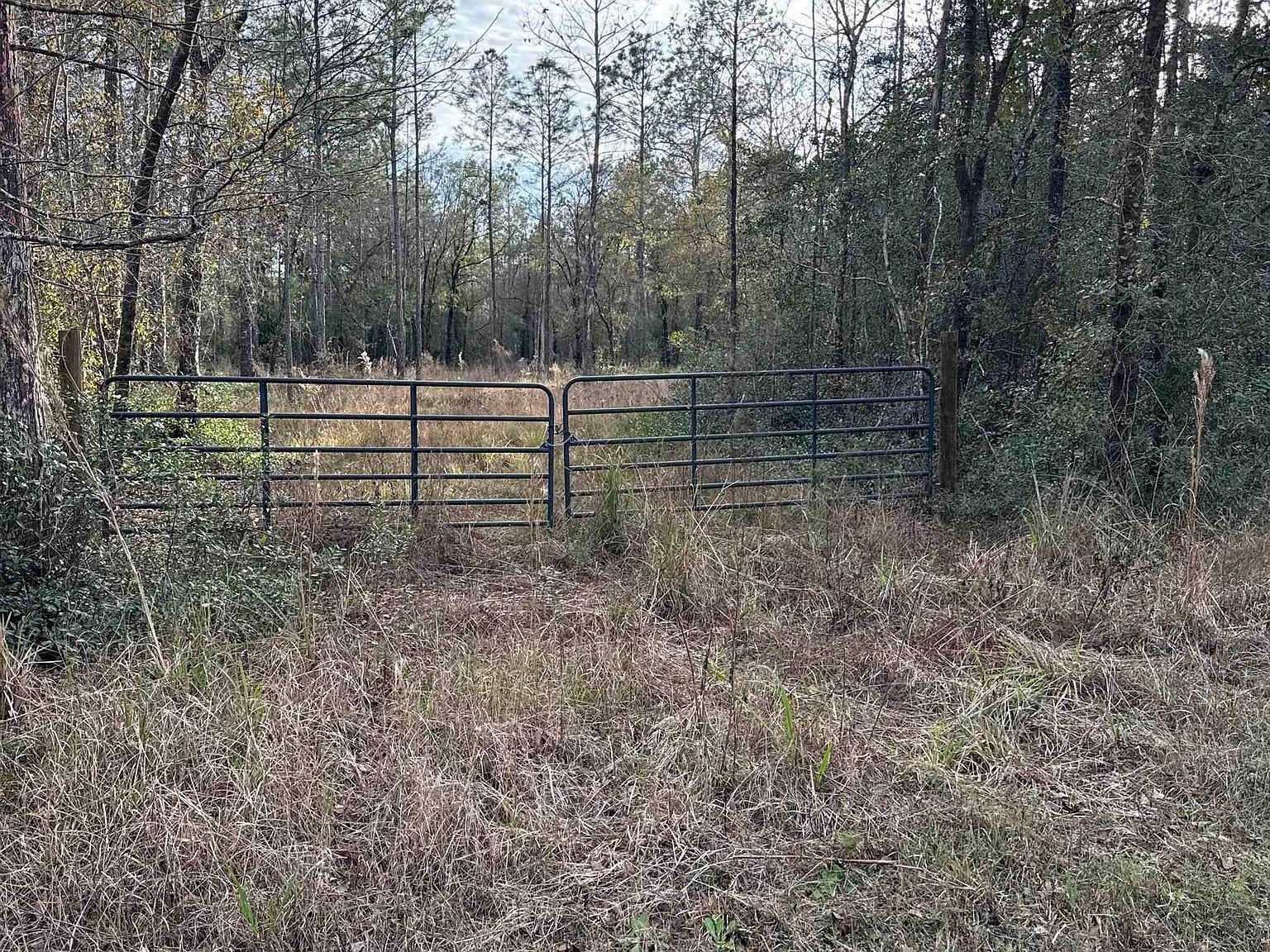 4335 Isaac St Hastings, FL 32145  | Land/Lot