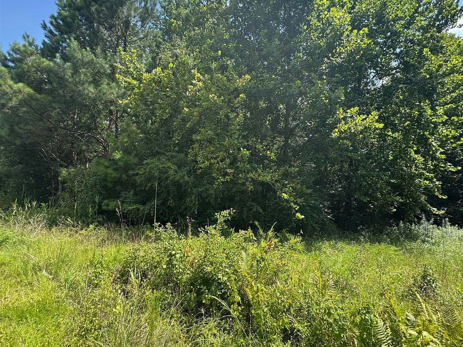 Tbd Society Dr Conway, SC 29527 - Thumbnail 4