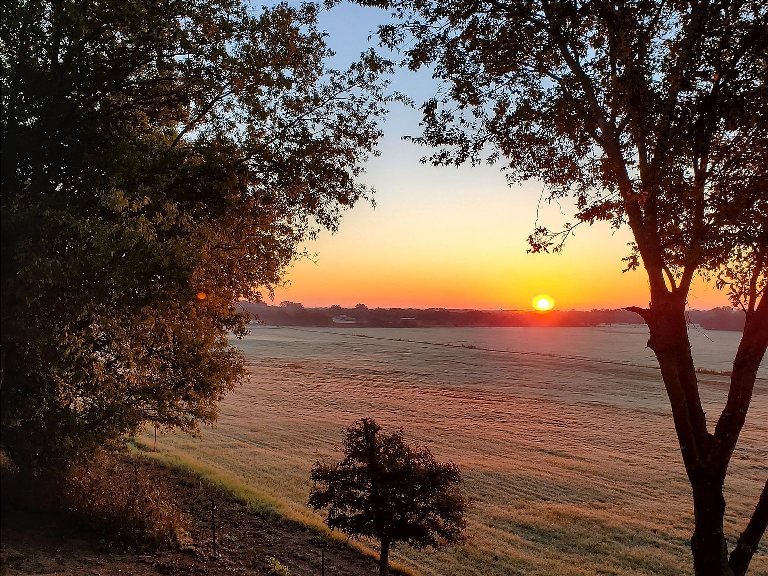 409 Brindley Rd Maypearl, TX 76064 - Thumbnail 4