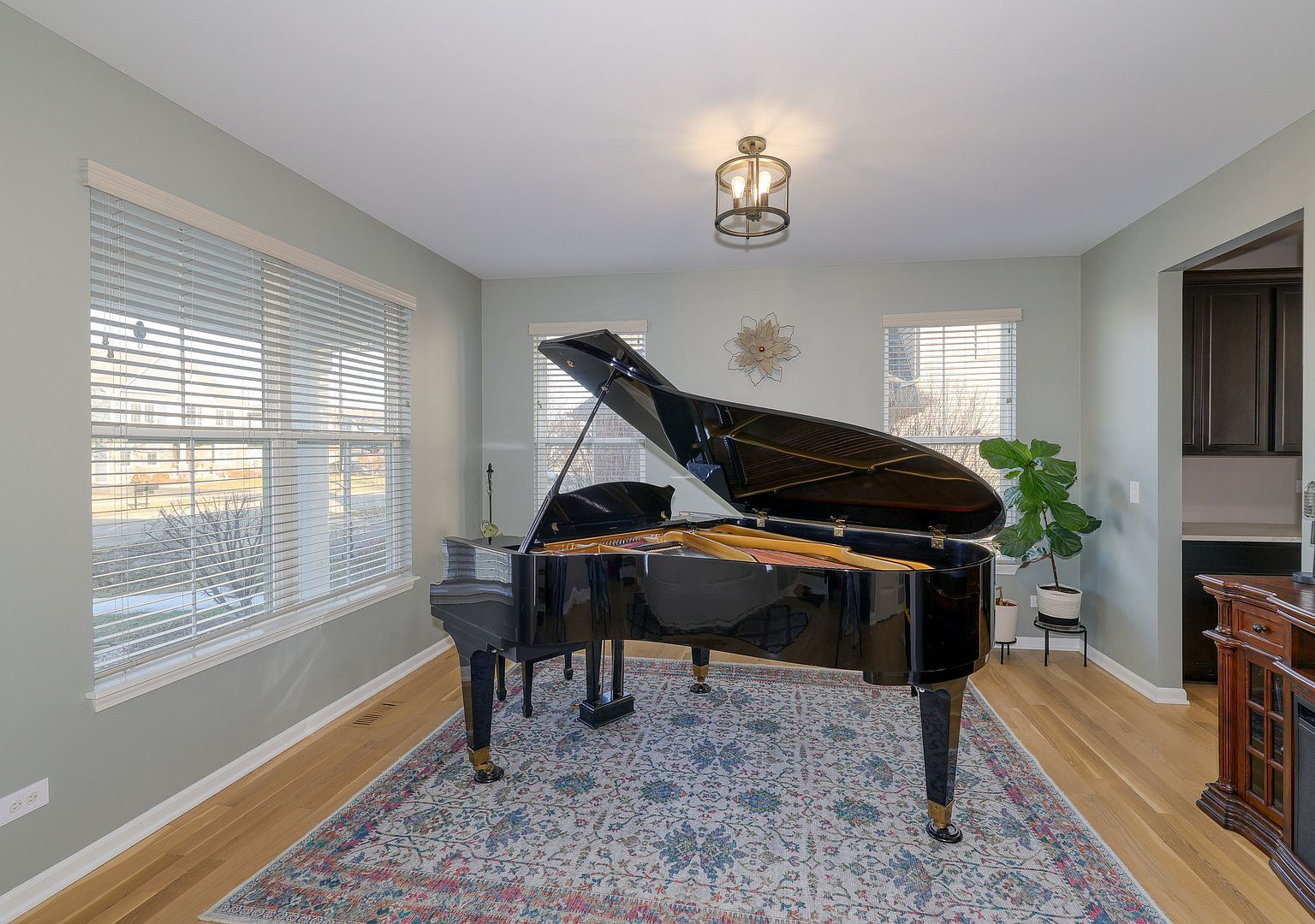 1171 Souders Ave Elburn, IL 60119 - Thumbnail 4