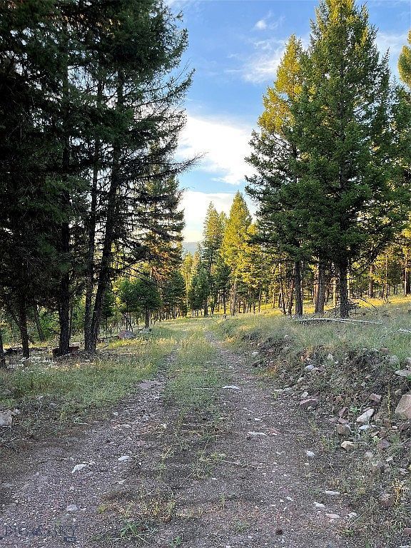 451 Crimson Peak Ct Seeley Lake, MT 59868 - Thumbnail 4