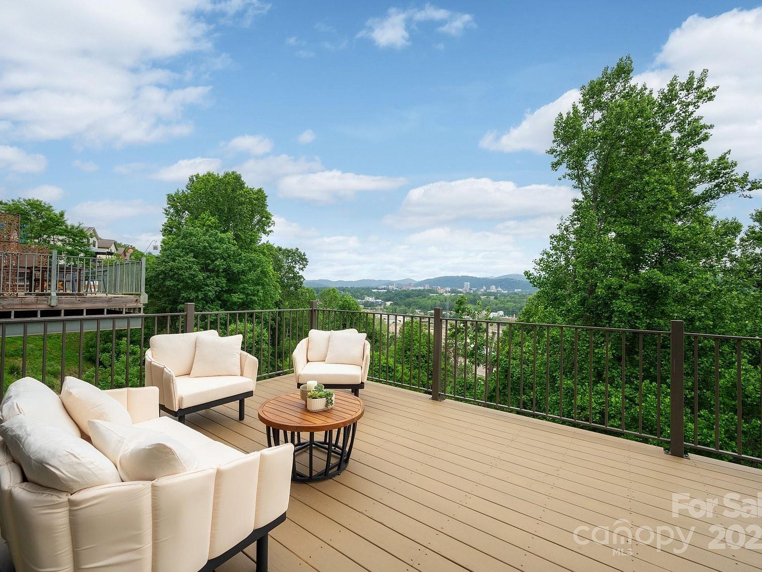 20 Grandview Dr Asheville, NC 28806 - Thumbnail 4