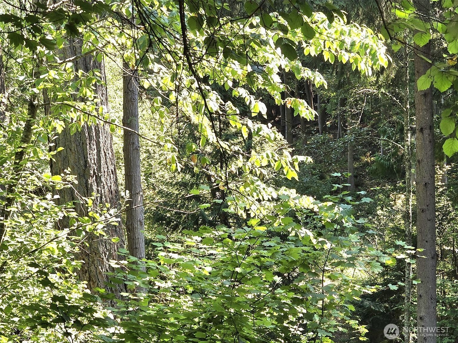 21815 Beachside Dr SE Yelm, WA 98597 - Thumbnail 4