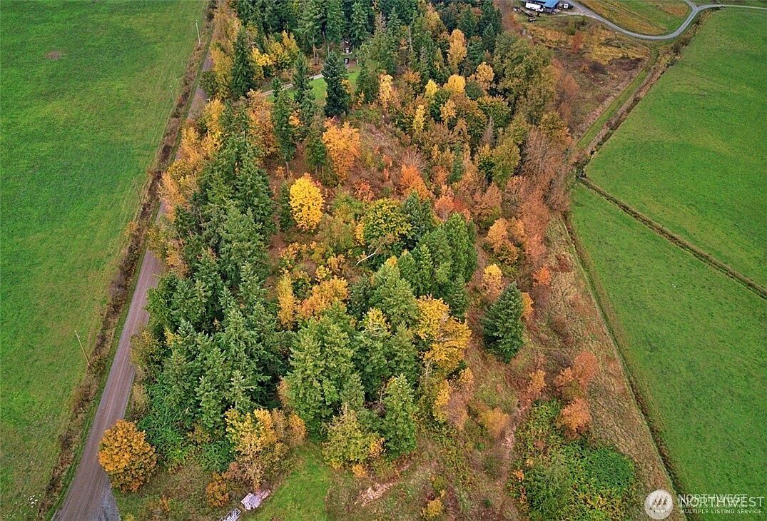 19441 Cougar Mountain Airport Rd SE Yelm, WA 98597 - Thumbnail 4