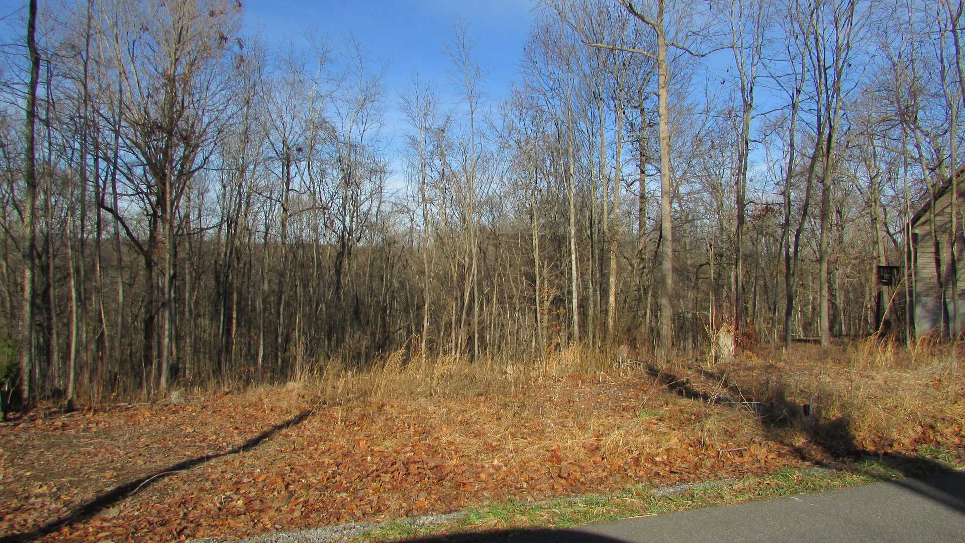 909 Hales Chapel Road, Jonesborough, TN, USA, 37659 - Thumbnail 4