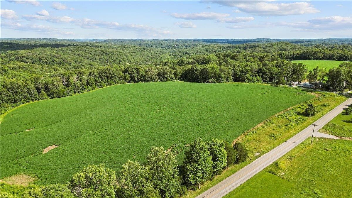 2426 Segal Rd Brownsville, KY 42210 - Thumbnail 4