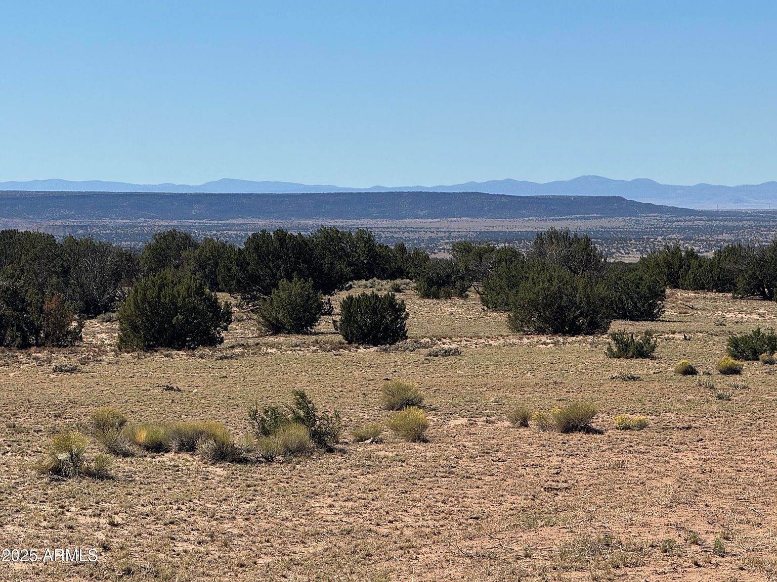 0 Woodlands Rnch LOT 704 Saint Johns, AZ 85936 | Land/Lot