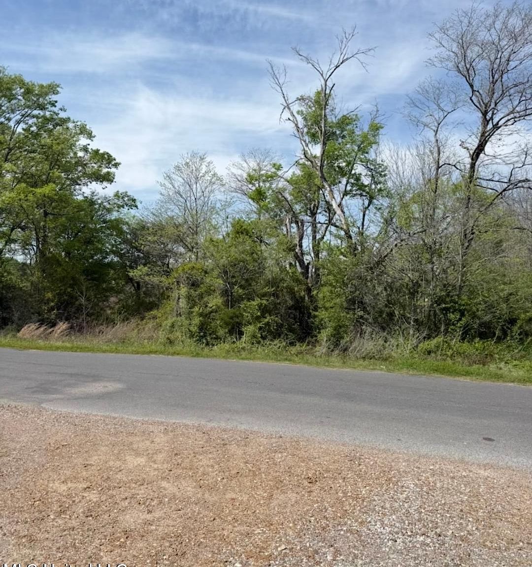 0 Swoope Rd #7 Drew, MS 38737 - Thumbnail 4